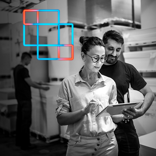 IT Project Consulting